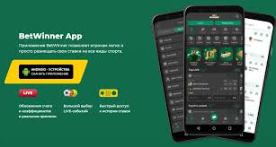 Exploring BetWinner Bonus Offers for Gamblers Worldwide