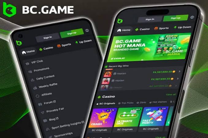 Exploring BC.Game The Leading Online Crypto Casino in Pakistan