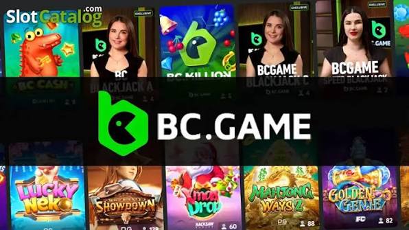 BCStavka Casino A Comprehensive Guide for New Players 909779192 BCStavka Casino A Comprehensive Guide for New Players 909779192